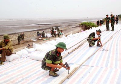Army soldiers fortify the Go Cong sea dyke in Tien Giang Province (Photo: SGGP) Army soldiers fortify the Go Cong sea dyke in Tien Giang Province (Photo: SGGP)